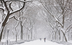 Snowy Park HD