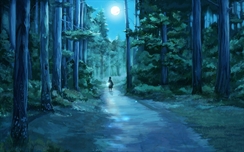 Forest at Night